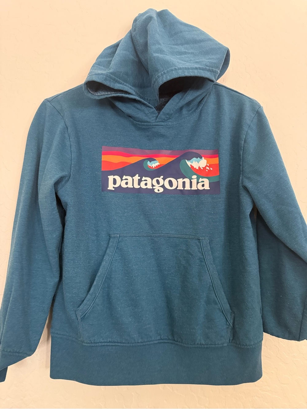 Patagonia Boy’s Teal Crewneck Hoodie with Multicolor Logo